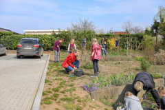 2019_Schulförderverein_Schulgarten-8594-4.jpg
