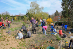 2019_Schulförderverein_Schulgarten-8595-5.jpg