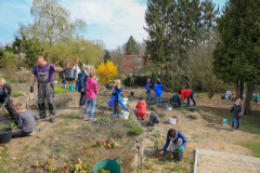 2019_Schulförderverein_Schulgarten-8596-6.jpg