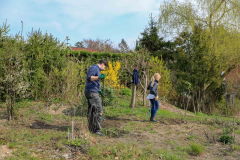 2019_Schulförderverein_Schulgarten-8599-9.jpg