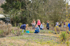 2019_Schulförderverein_Schulgarten-8601-10.jpg