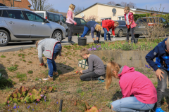 2019_Schulförderverein_Schulgarten-8602-11.jpg