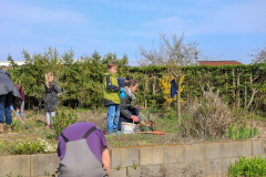2019_Schulförderverein_Schulgarten-8606-13.jpg