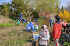 2019_Schulförderverein_Schulgarten-8608-14.jpg