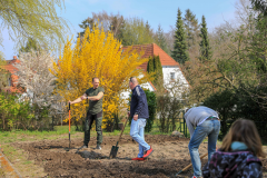 2019_Schulförderverein_Schulgarten-8610-15.jpg