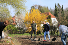 2019_Schulförderverein_Schulgarten-8611-16.jpg