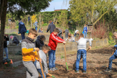 2019_Schulförderverein_Schulgarten-8618-21.jpg