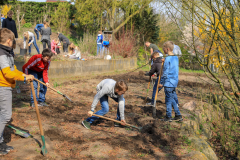 2019_Schulförderverein_Schulgarten-8620-23.jpg