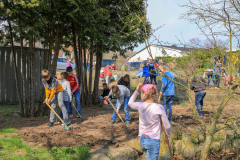 2019_Schulförderverein_Schulgarten-8623-25.jpg