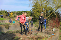 2019_Schulförderverein_Schulgarten-8629-27.jpg