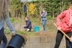 2019_Schulförderverein_Schulgarten-8630-28.jpg