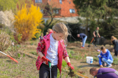 2019_Schulförderverein_Schulgarten-8644-39.jpg