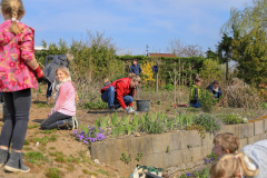 2019_Schulförderverein_Schulgarten-8648-42.jpg