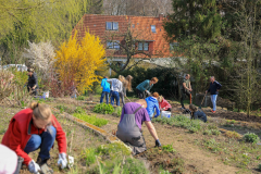 2019_Schulförderverein_Schulgarten-8659-48.jpg