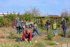 2019_Schulförderverein_Schulgarten-8661-50.jpg