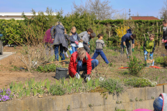 2019_Schulförderverein_Schulgarten-8663-51.jpg