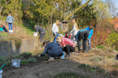 2019_Schulförderverein_Schulgarten-8666-52.jpg