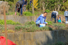 2019_Schulförderverein_Schulgarten-8667-53.jpg