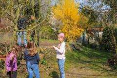 2019_Schulförderverein_Schulgarten-8670-55.jpg