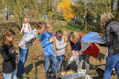 2019_Schulförderverein_Schulgarten-8673-57.jpg
