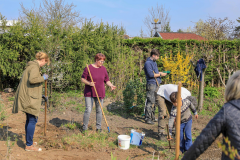 2019_Schulförderverein_Schulgarten-8692-69.jpg