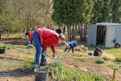 2019_Schulförderverein_Schulgarten-8696-70.jpg
