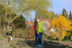 2019_Schulförderverein_Schulgarten-8733-85.jpg