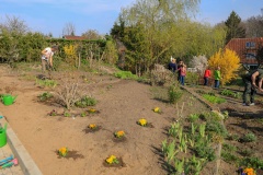 2019_Schulförderverein_Schulgarten-8746-96.jpg