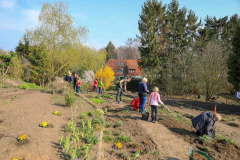 2019_Schulförderverein_Schulgarten-8747-97.jpg