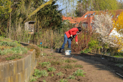 2019_Schulförderverein_Schulgarten-8749-99.jpg