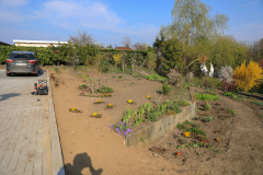 2019_Schulförderverein_Schulgarten-8755-104.jpg