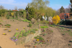 2019_Schulförderverein_Schulgarten-8755-Pano-106.jpg