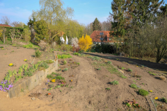 2019_Schulförderverein_Schulgarten-8756-105.jpg